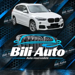 Grill nyrer BMW X1 F48 2015-2019 mat sort