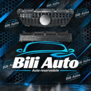 Grill Panamericana Mercedes SLK R172 W172 AMG GT